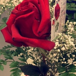 Meet your Posher, Kaylee